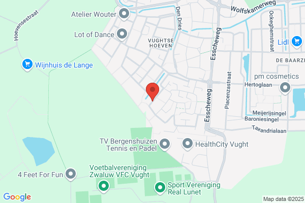 Hoogen, D S Van Den