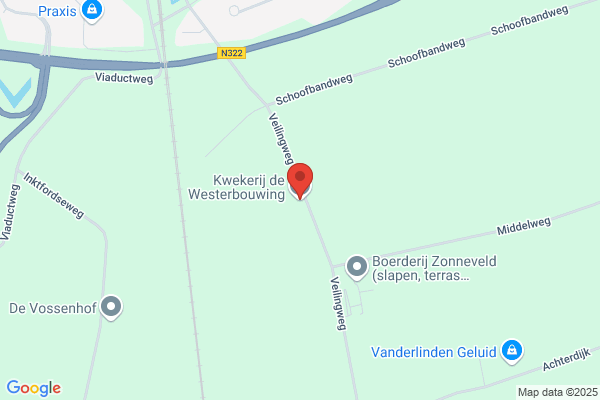 De Best Consultants Bv