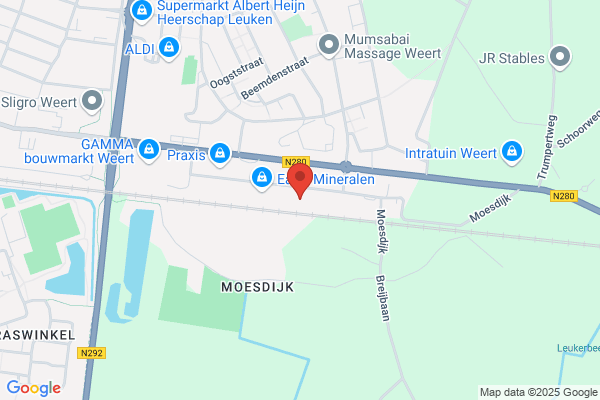 Trends