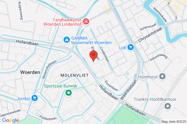 Van Echtelt Management Adviezen