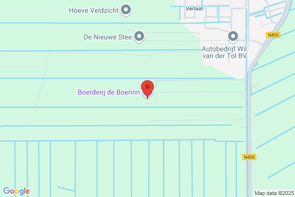 Boerinn