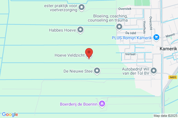 Veldzicht, Hoeve