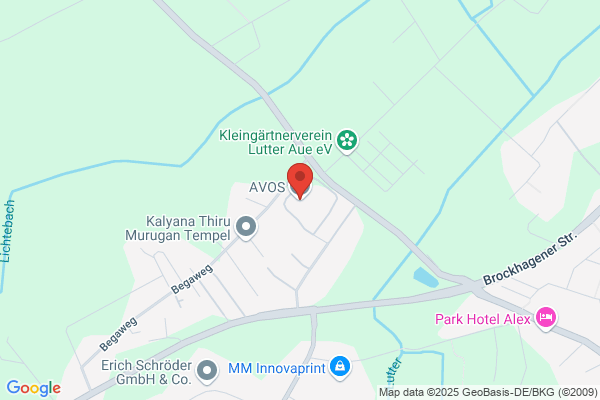 Avos Management Services