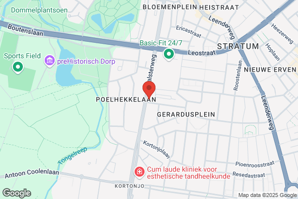Reinartz, Advocaten