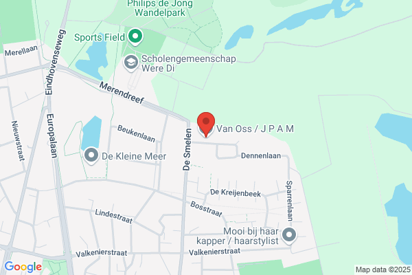 Oss, J P A M Van