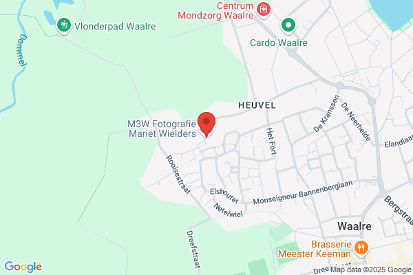 Wemelsfelder, J V