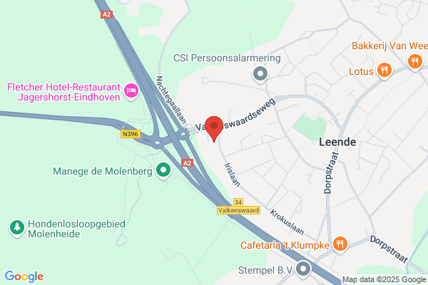 Lieshout, Ad Van