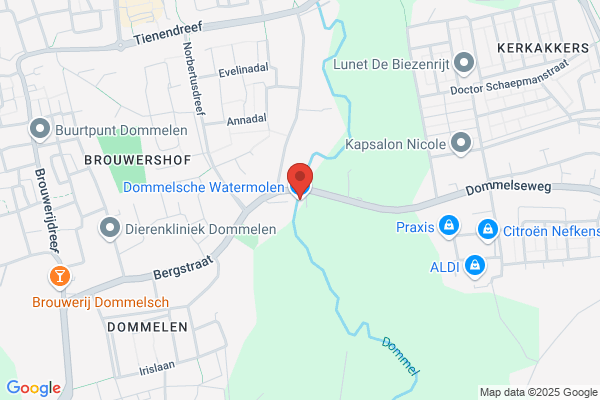 De Dommelsche Watermolen Bv