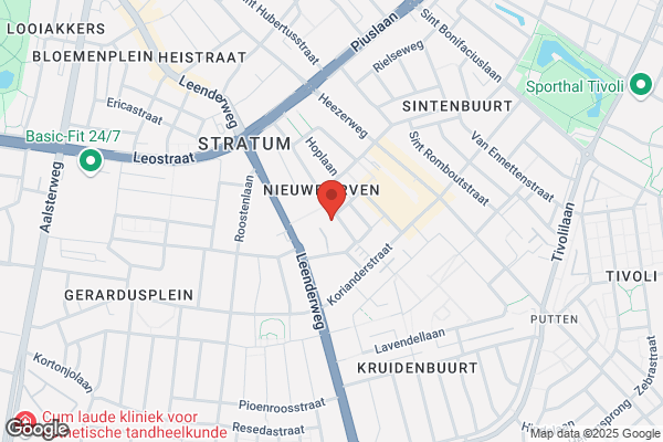 Blauwe Krokodil, De