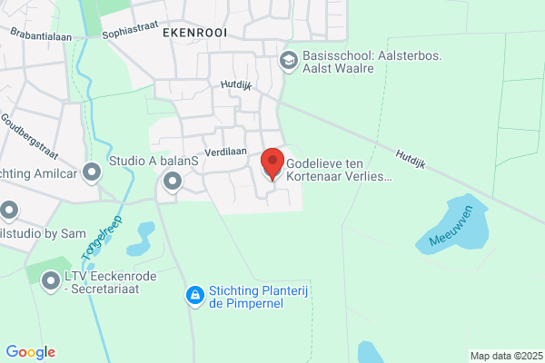 Tovenaar, De