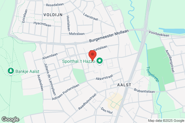 Autoschadebedrijf Waalre