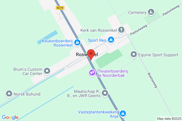 Rosalind Kunstsieraden