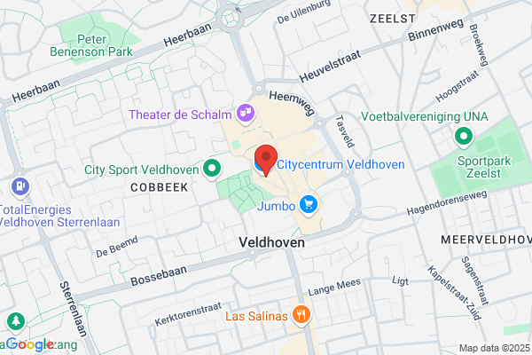 Action Veldhoven