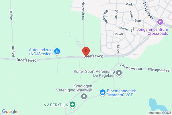 Kattenpension De Dreef