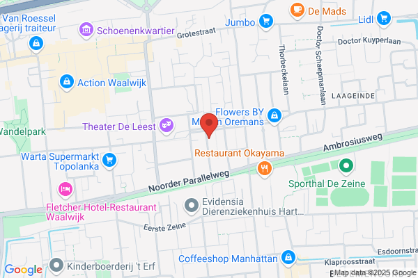 Schoonmaakbedrijf Moleijco