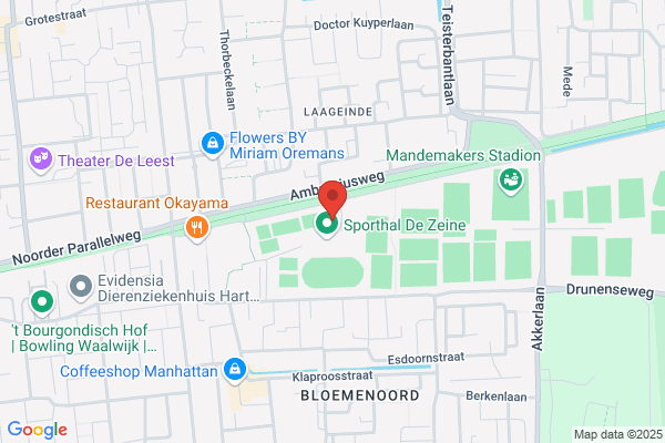 De Mattenkloppers