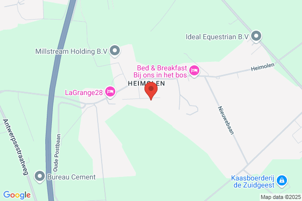 Rietdekker Maartense