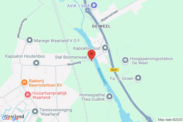 Ponyfokkerij Hoedjes