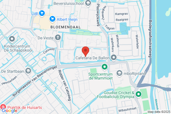 Van Tiel Consultancy