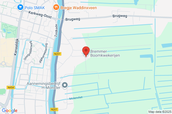 Koninklijke Boomkwekerij K. Wezelenburg & Zoon
