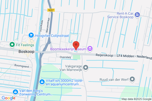 Stegroplant