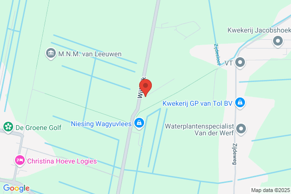 Boomkwekerij A Nieuwesteeg Bv