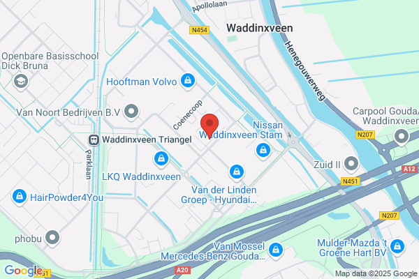 Gouda