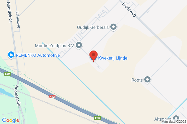 Lijntje