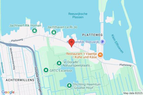 N W Hoogendoorn
