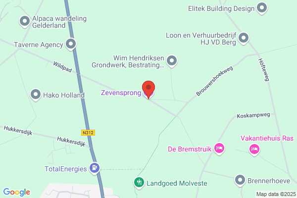 Zevensprong