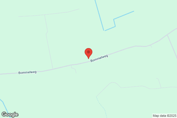 Duitse Doggen V.D. Lingestreek