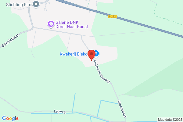 Gosens Bv, J C W J