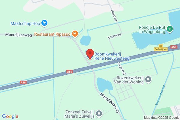 Vof Boomkwekerij Rene Nieuwesteeg