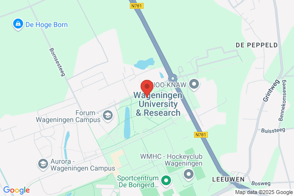 Lijster