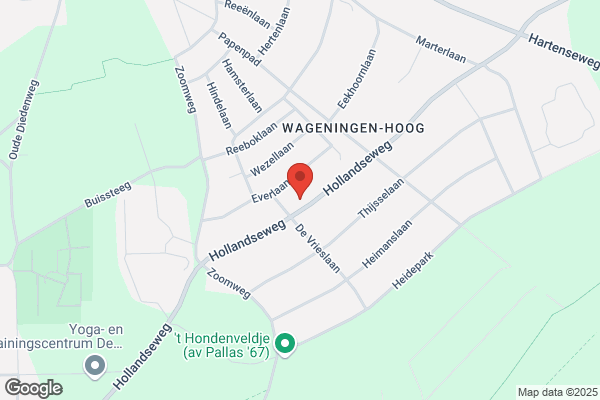 Holostiek