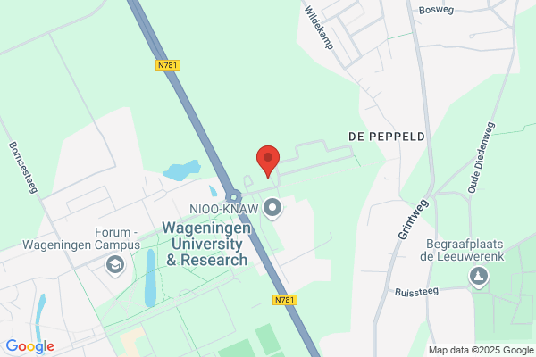 Dijkstra Vof