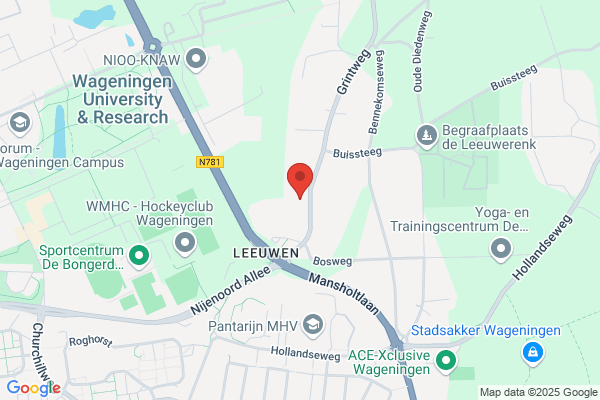 Hedi Kringloop