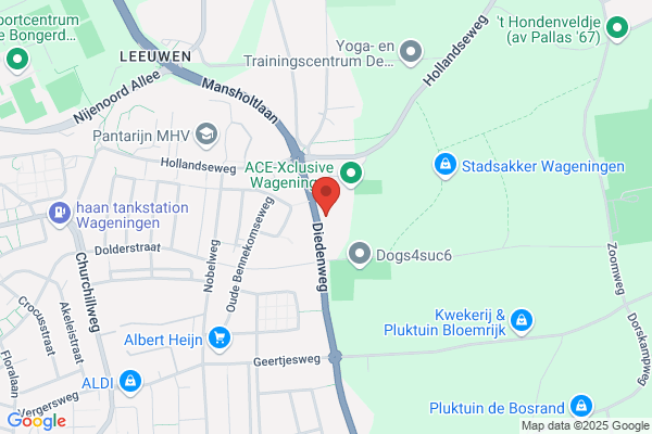 Groeikrachtcoach