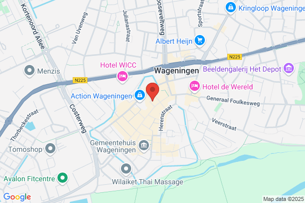Wija Exclusieve Zijden Boeketten