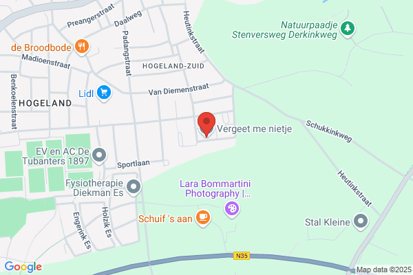 Vergeet Mij Nietje