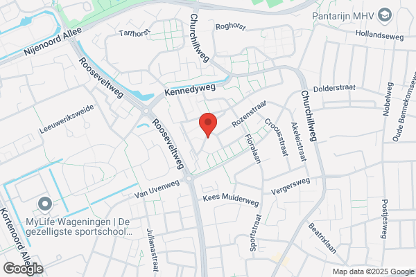 Elsenaar