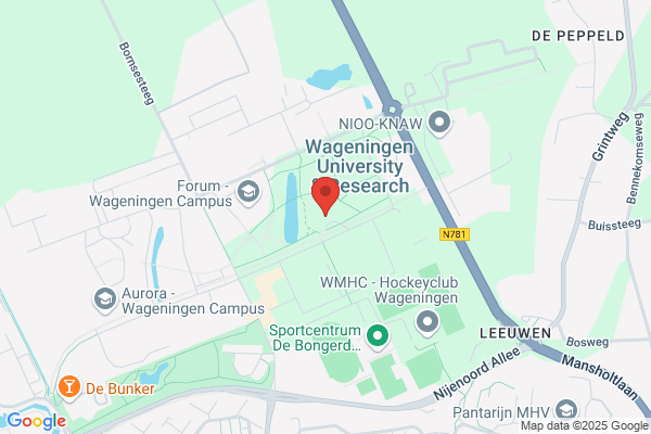 Voorheen De Toekomst