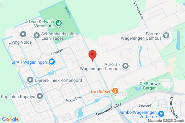 Zuiderster
