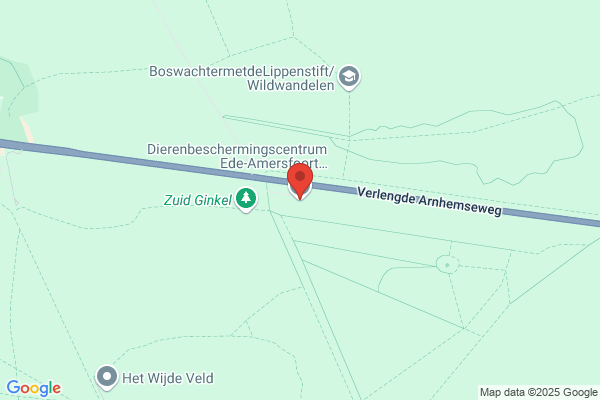 Dierenbescherming