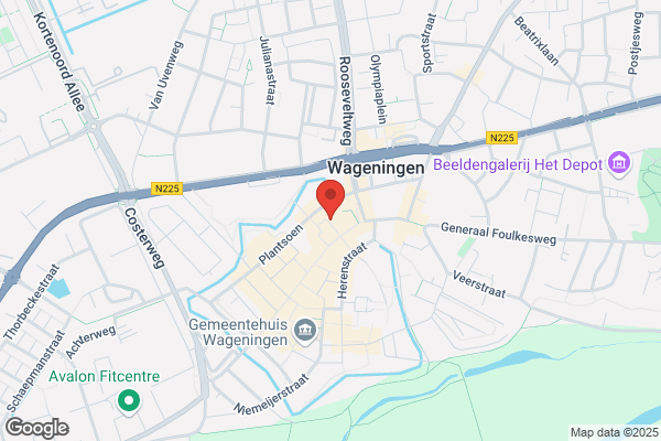 Groene Keukenprins, De