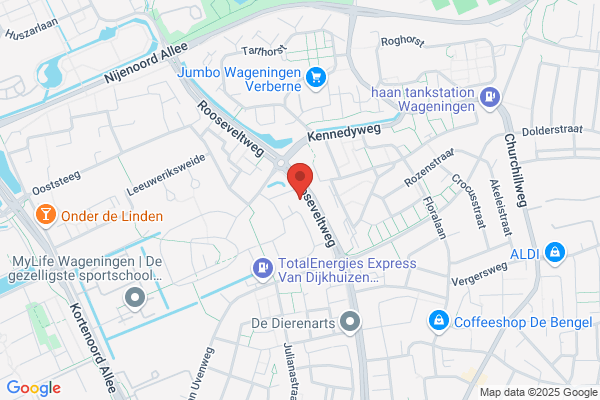 Schilderwerken Saleming & Zn