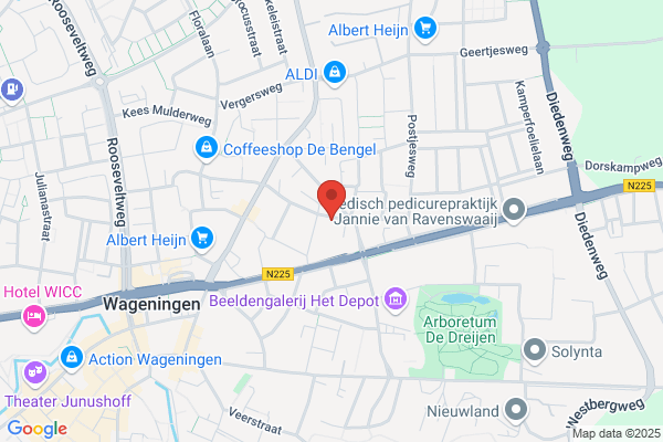 Schut