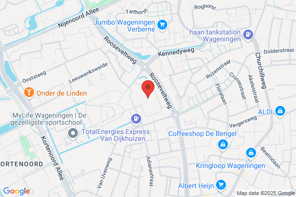 Ned Ver Van Huisvrouwen