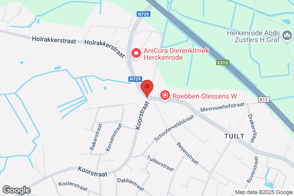 Vincken-Van Hasselt, N