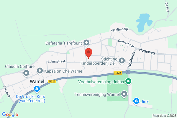 Dauphine Ned Bv